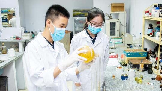 <a href="/kinh-te/hoi-nhap" title="Hội nhập" rel="dofollow">Hội nhập</a>