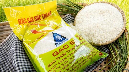 <a href="/kinh-te/hoi-nhap" title="Hội nhập" rel="dofollow">Hội nhập</a>