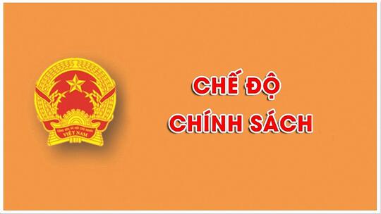 <a href="/phap-luat/tim-hieu-chinh-sach" title="Tìm hiểu chính sách" rel="dofollow">Tìm hiểu chính sách</a>