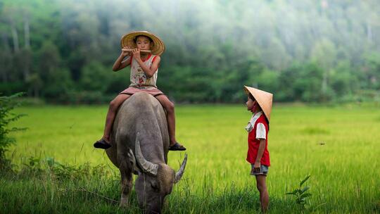 <a href="/the-thao/trong-nuoc" title="Trong nước" rel="dofollow">Trong nước</a>