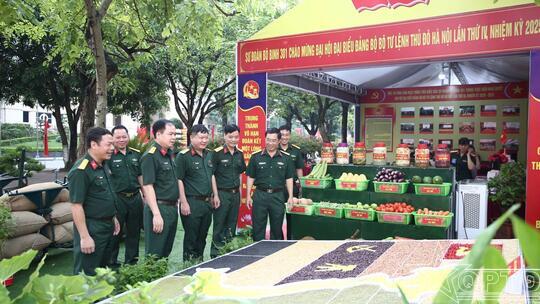 <a href="/quoc-phong-an-ninh/cong-tac-dang-cong-tac-chinh-tri" title="Công tác Đảng - Công tác Chính trị" rel="dofollow">Công tác Đảng - Công tác Chính trị</a>