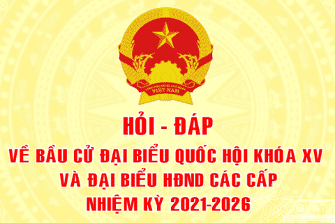Trách nhiệm của đại biểu Quốc hội được quy định như thế nào?
