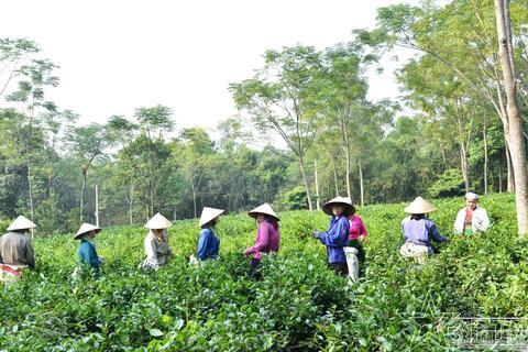 Bài 2: Những thành tựu không thể xuyên tạc