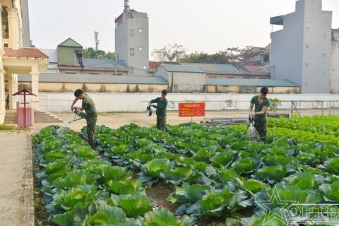 Những người lo Tết cho bộ đội