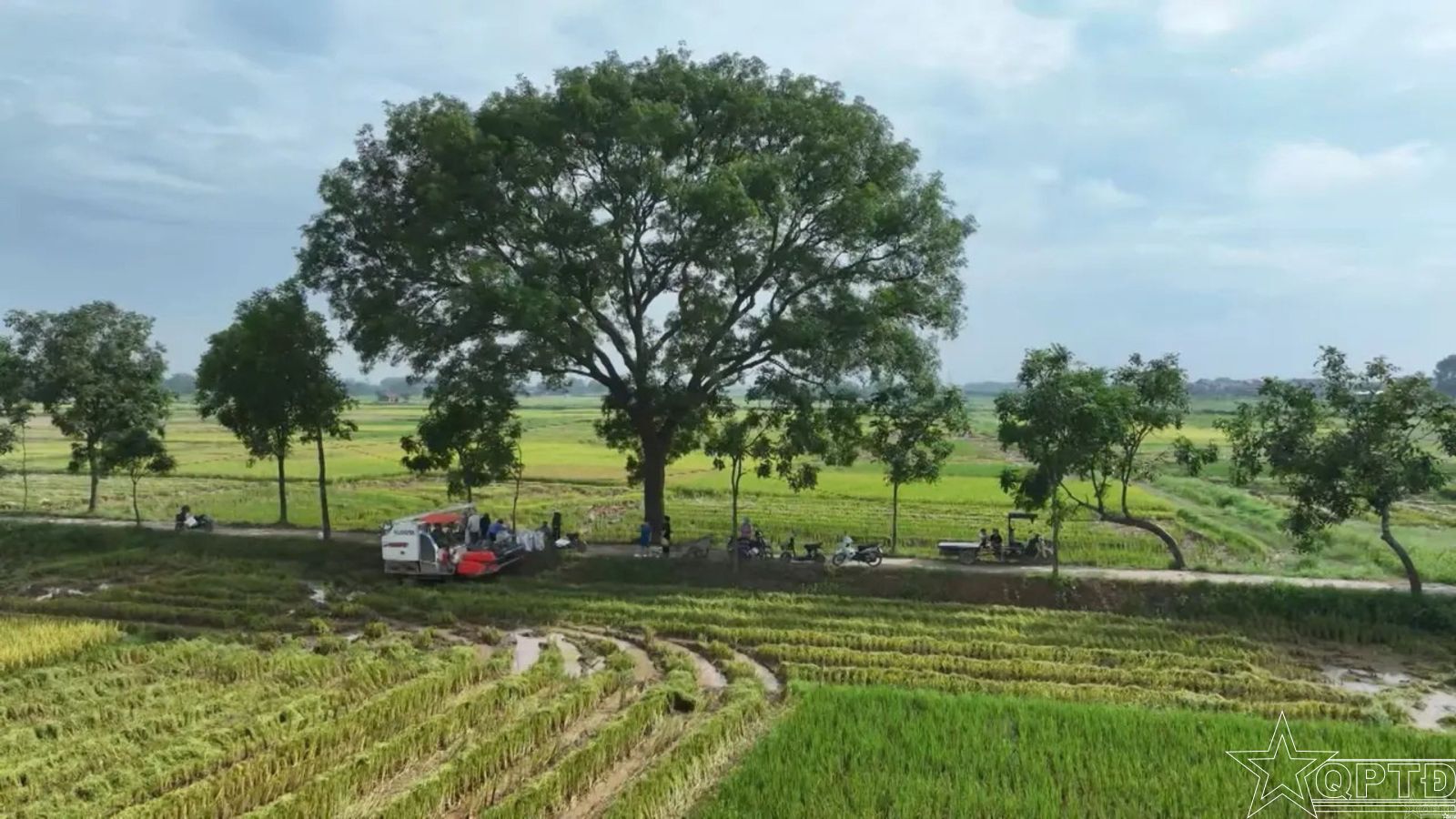 Bản giao hưởng xanh dưới chân núi Thầy