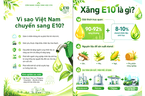 Thành phố Hà Nội thực hiện lộ trình áp dụng phối trộn nhiên liệu sinh học