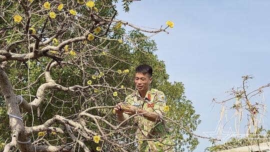 <a href="/thoi-su-chinh-tri" title="Thời sự-Chính trị" rel="dofollow">Thời sự-Chính trị</a>